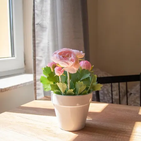 Srodmiescie Bydgoszcz