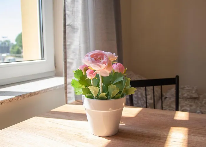 Srodmiescie Bydhošť